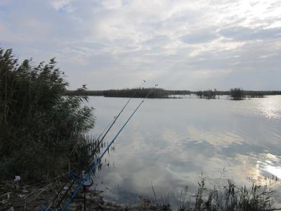 Прикрепленное изображение: IMG_0360.JPG